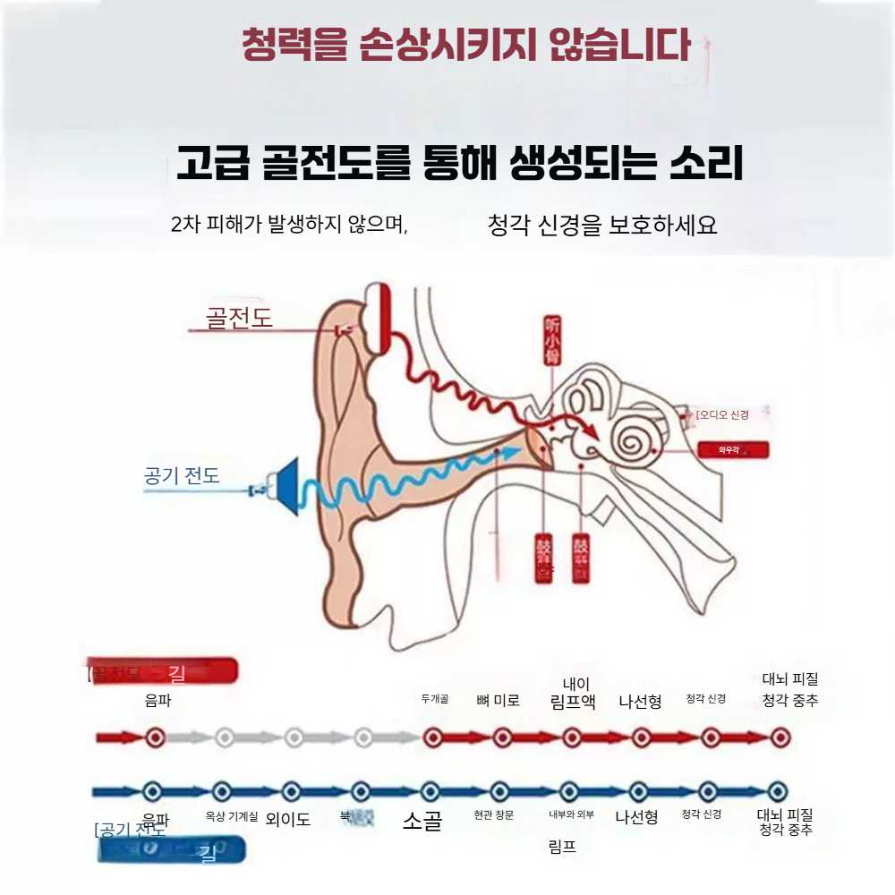 고스트캠프 소리증폭기 1개 난청 소리 신형 일체형 - 상세 이미지 4
