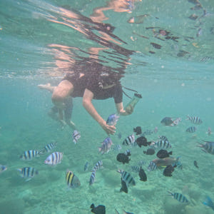 나트랑 미니비치 현지 조인 호핑투어 (혼째섬, 혼문섬, 혼땀섬, 미니비치... 솔직 후기 | 실사용자 리뷰 분석 - 상품 이미지 2