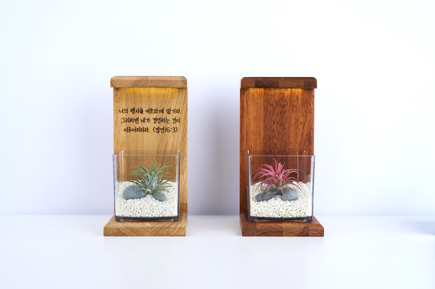 테라리움 DIY 키트 [각인형] 플랜테리어 식물인테리어 기업선물 단체선물 이끼 이오난사 이미지 6