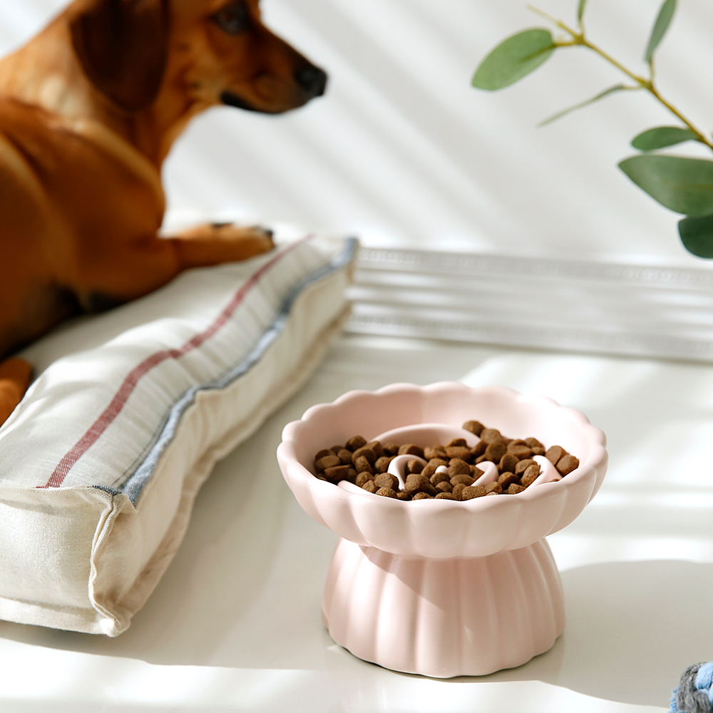 급체방지 슬로우 도자기 높이 밥그릇 사료 애견 고양이 강아지 대형견 중형견 소형견