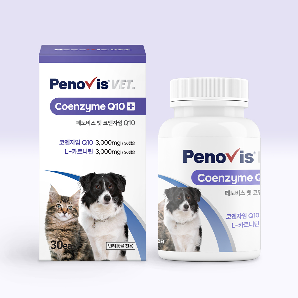 페노비스 강아지 심장영양제 항산화 코큐텐 활력 노령견 면역력 고양이 타우린 코엔자임Q10