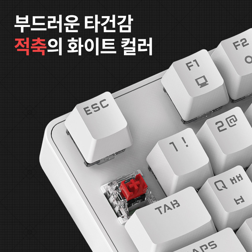 JTMK-200L 청축 적축 게이밍 기계식 키보드 사무실 조용한 사무용 저소음 이미지 8