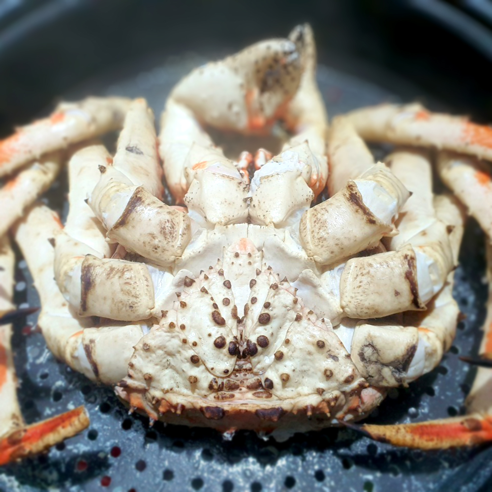 러시아 산지직송 자숙 레드 킹크랩 왕게 수율 70% 2.5KG 이미지 7