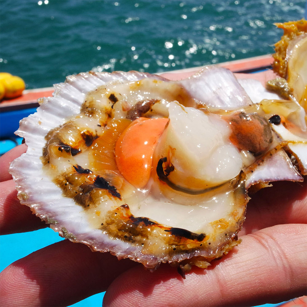 국내산 제철 가리비 1kg