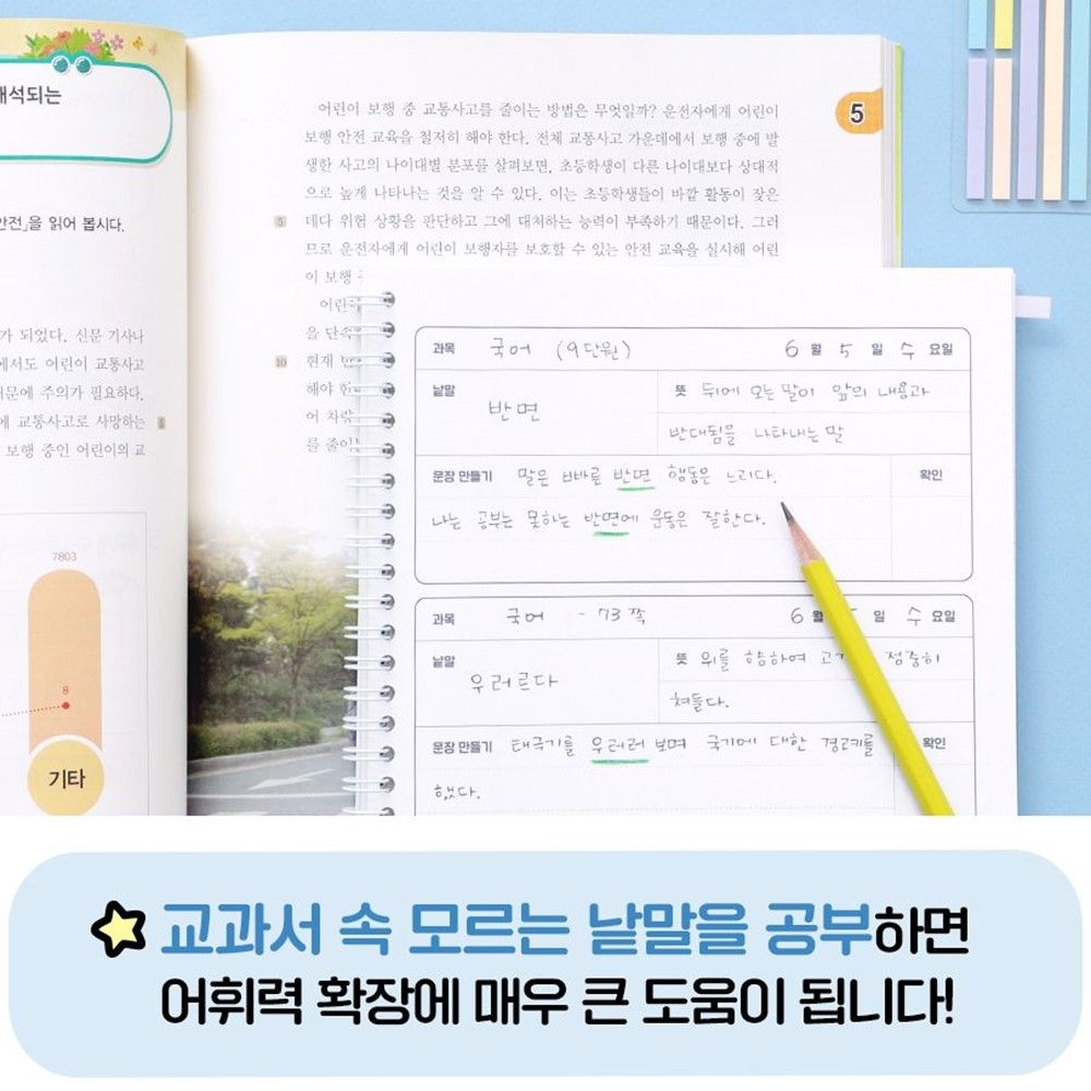 초등 단어장 초등노트 단어 낱말 공부 어휘력 문해력 초등공책 선물 - 상세 이미지 3