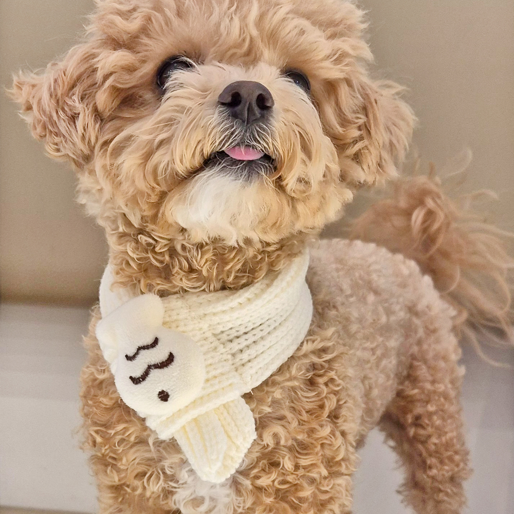 붕어빵 목도리 강아지 고양이 니트 머플러 스카프 악세사리 - 상세 이미지 3