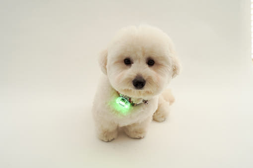thumbnail-6