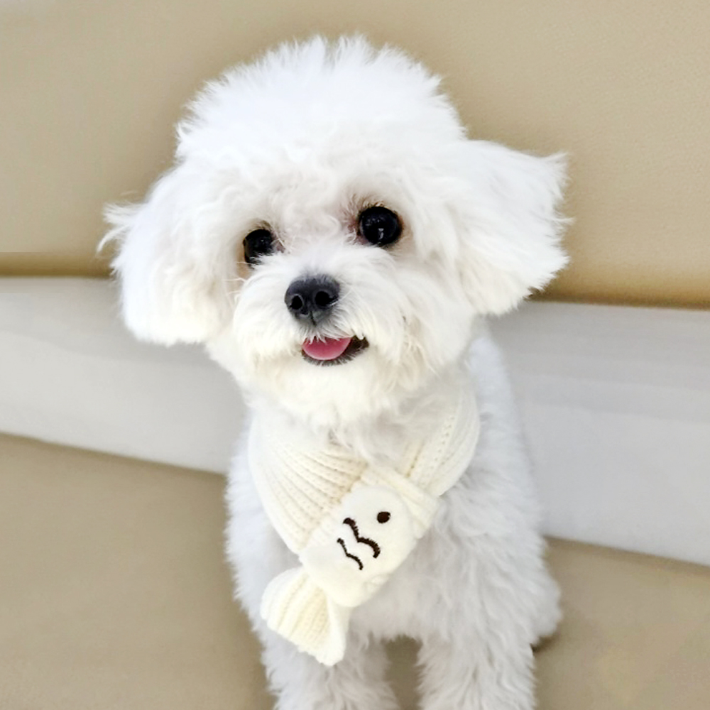 붕어빵 목도리 강아지 고양이 니트 머플러 스카프 악세사리 - 상세 이미지 2