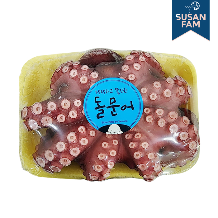 국산 자숙문어 1미 손질 삶은문어 자연산 돌문어 숙회 제수용 - 상세 이미지 3