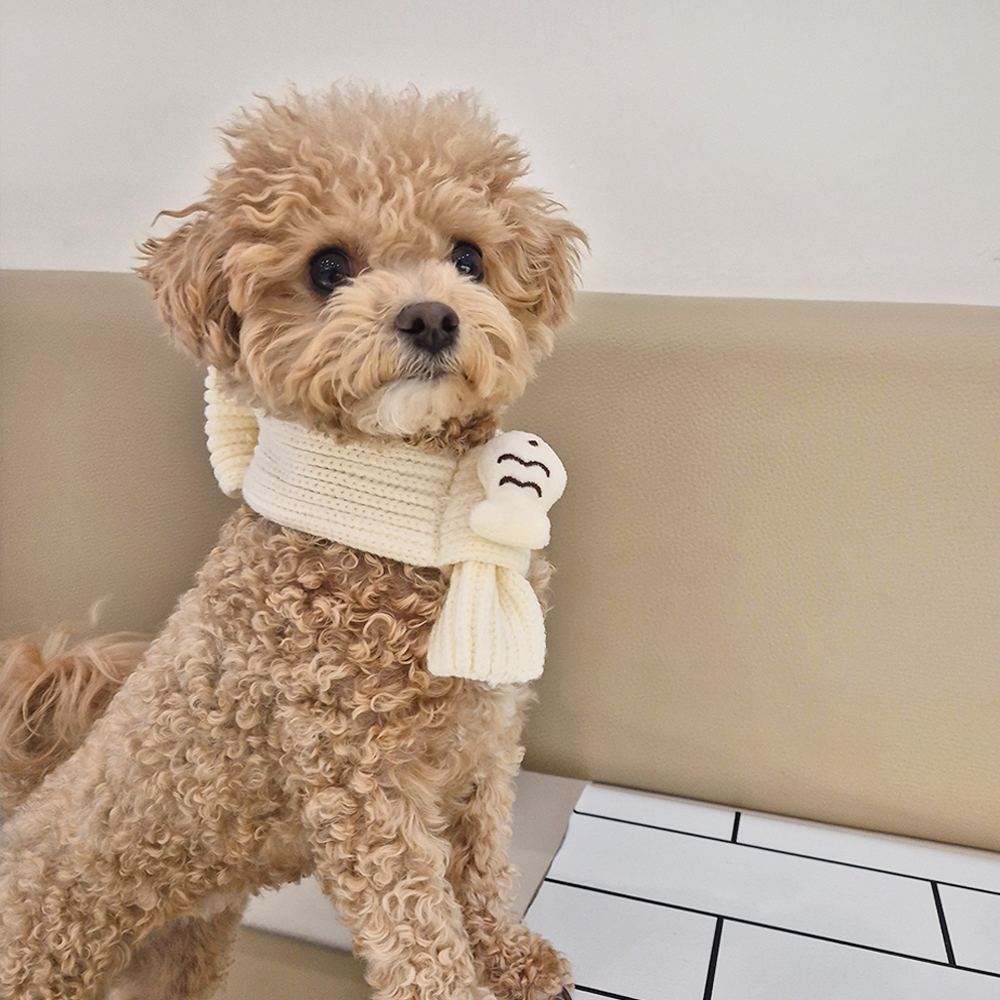 붕어빵 목도리 강아지 고양이 니트 머플러 스카프 악세사리 - 상세 이미지 4