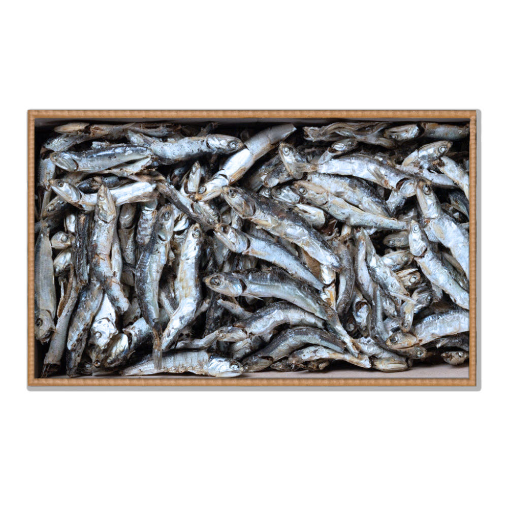 국산 멸치 1.5kg 국물멸치 국멸치 육수용