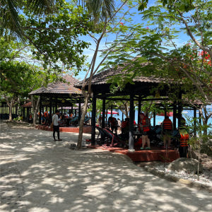 나트랑 미니비치 현지 조인 호핑투어 (혼째섬, 혼문섬, 혼땀섬, 미니비치... 솔직 후기 | 실사용자 리뷰 분석 - 상품 이미지 4