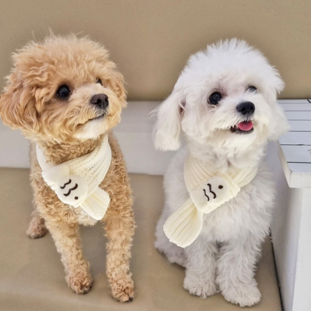 붕어빵 목도리 강아지 고양이 니트 머플러 스카프 악세사리 - 상세 이미지 5