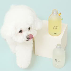 반다르크 [SPRING gift] 반려동물 디퓨저 선물세트 디퓨저2병+하... 솔직 후기 | 실제 배치 사진 포함 - 상품 이미지 4