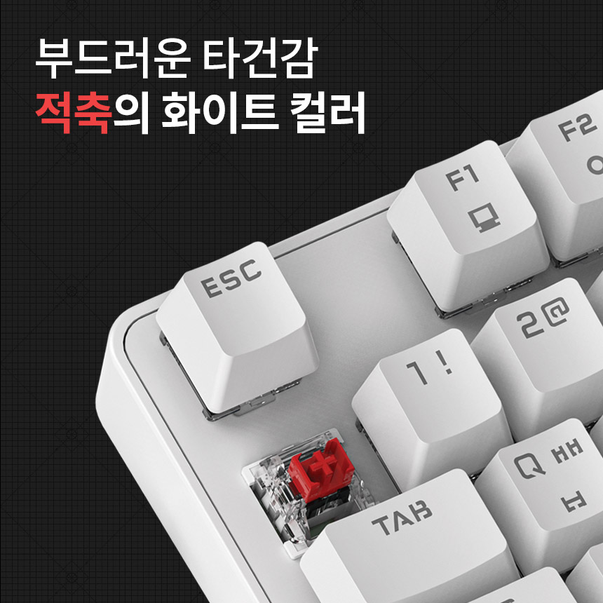 JTMK-200S 텐키리스 청축 적축 기계식 게이밍 키보드 사무실 조용한 사무용 저소음 - 상세 이미지 4