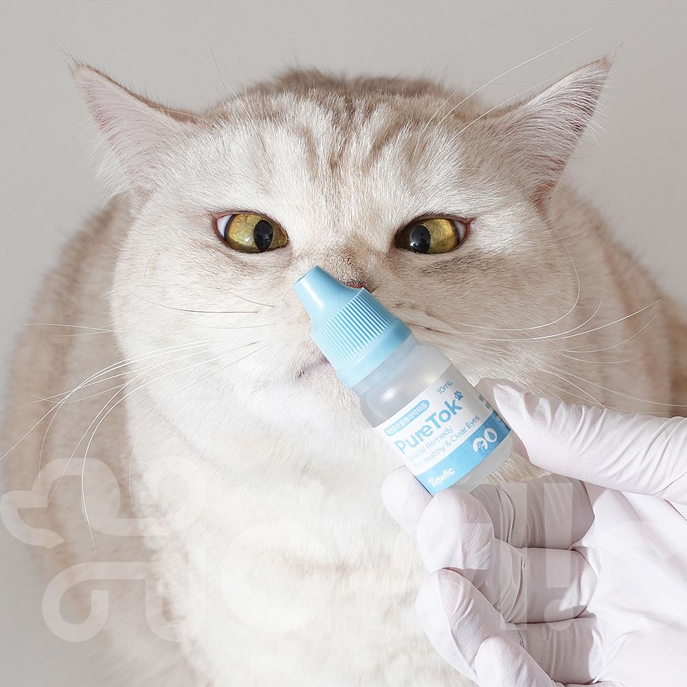 (2개구성)퓨어톡 강아지 고양이 애견 눈 염증 충혈 눈물자국 눈꼽 개선 안구 약 20ml - 상세 이미지 3