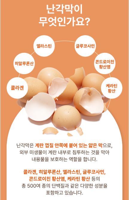 프리미엄 난각막 구아검 가수분해물 60정 1+1 박스 고함량 수용성 난각막 효능 낭각막 - 상세 이미지 3