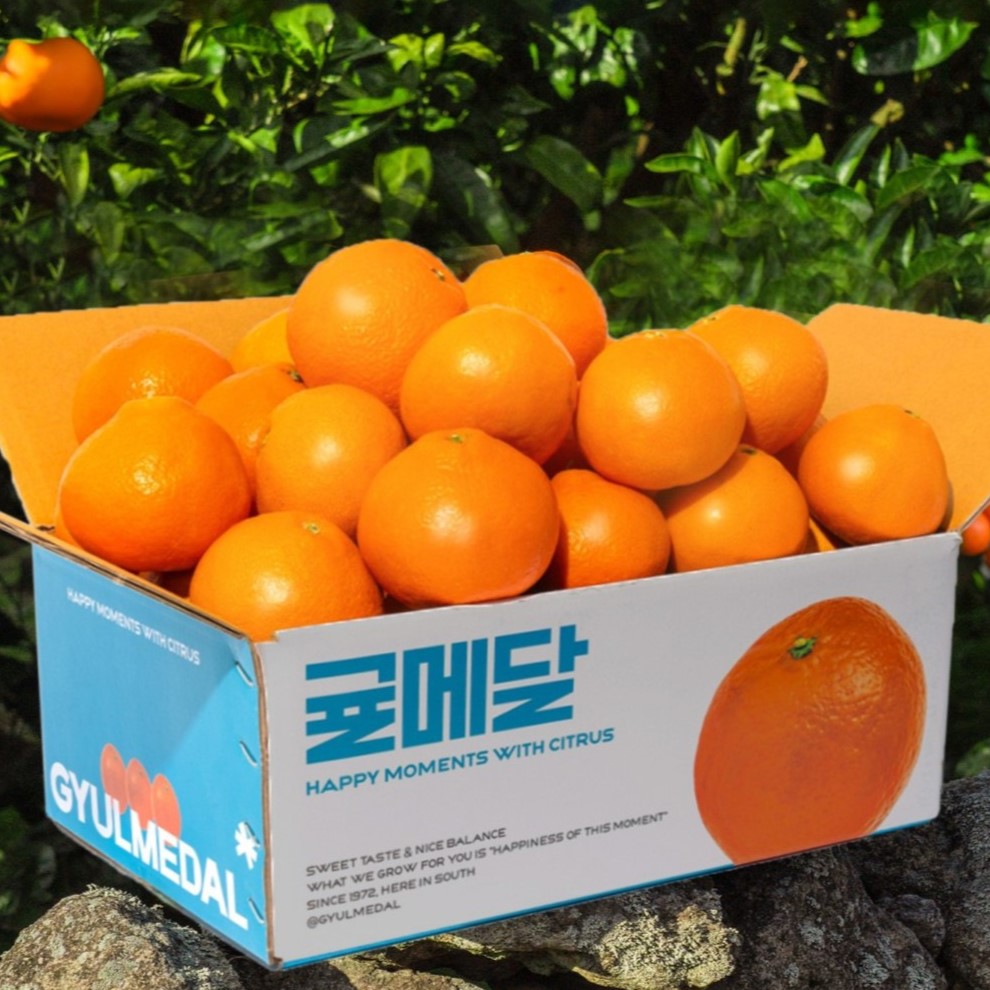 제주 황금향 2kg 3kg 5kg 고당도 가정용 선물세트 2.5kg 4.5kg