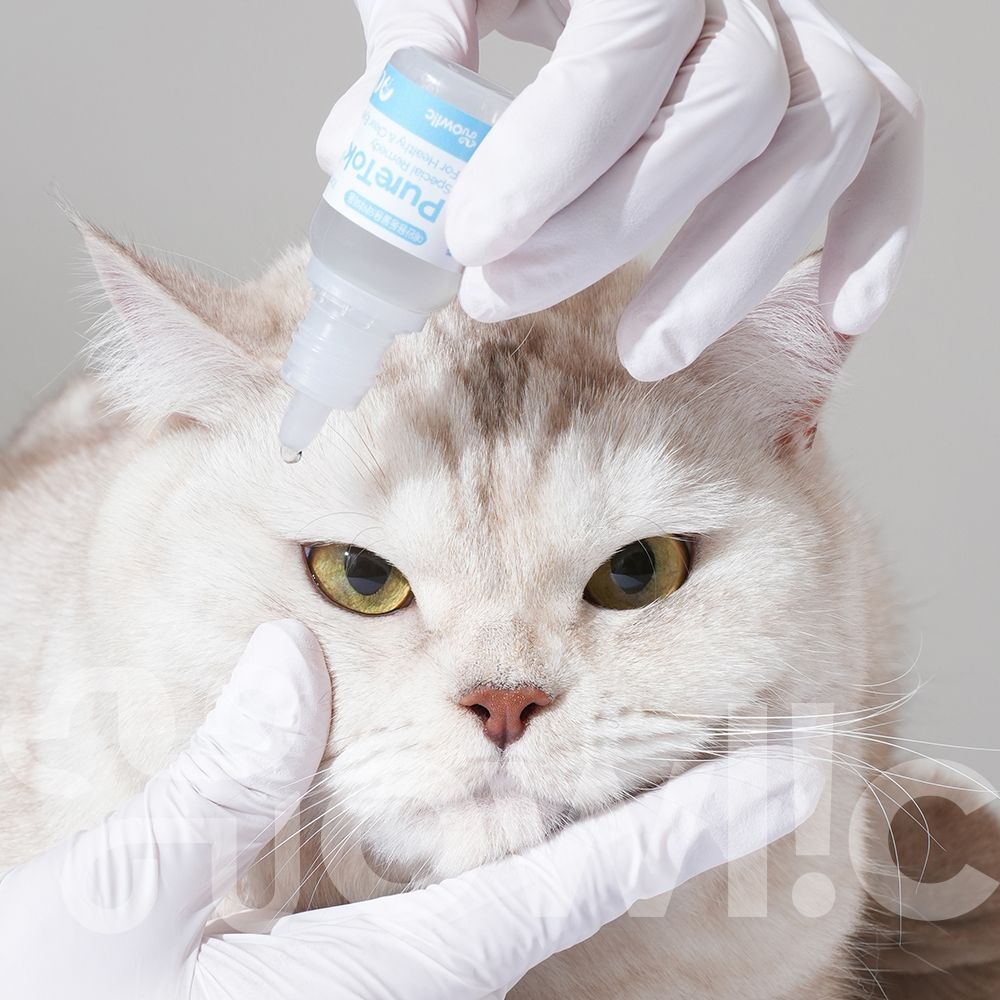 퓨어톡 강아지 고양이 인공 눈물 눈세정제 눈꼽 안구건조증 눈병 일회용 20ml, 1개 - 상세 이미지 3