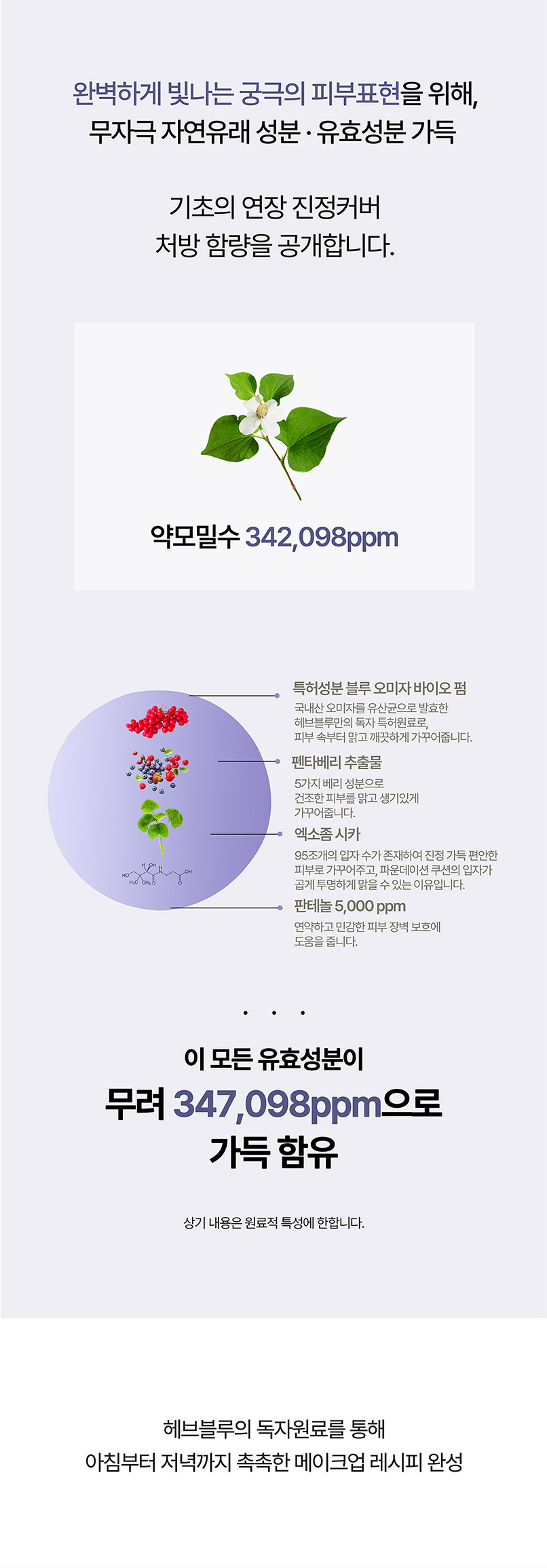 korean pentaberry panthenol cushion foundation
