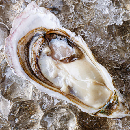 통영 제철 삼배체굴 1kg 하프셀 밴딩 손질 석화 반각굴 생굴