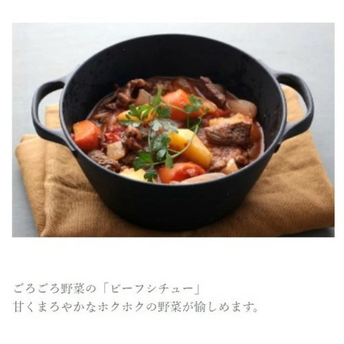 오이겐 Oigen 남부 철기 냄비 쿡탑 IH 호환 CT-4 블랙 - 상세 이미지 5