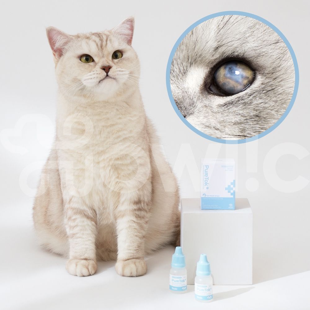 (2개구성)퓨어톡 강아지 고양이 애견 눈 염증 충혈 눈물자국 눈꼽 개선 안구 약 20ml - 상세 이미지 2