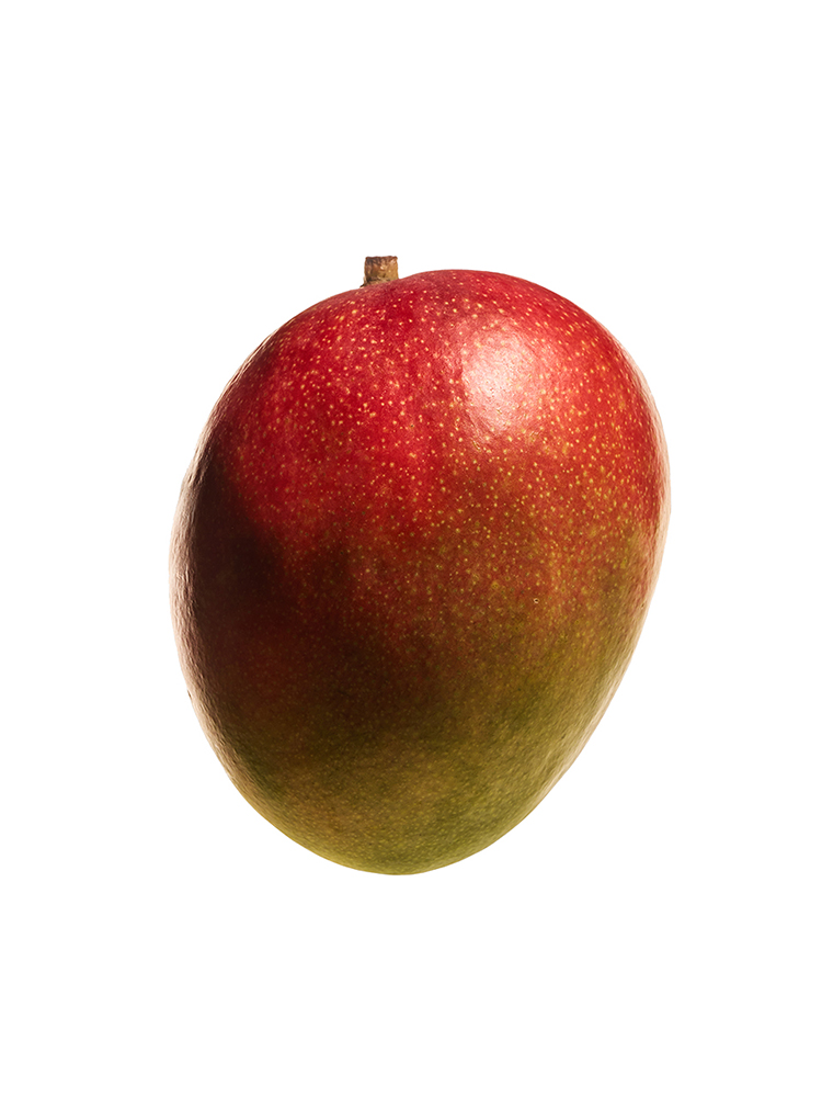 [당도선별] 프레델 프리미엄 제주 애플망고 정품 2kg