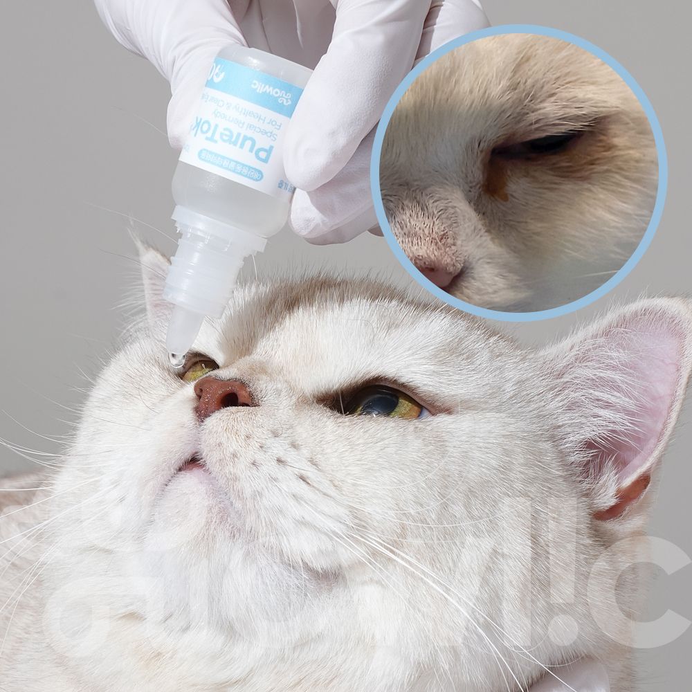 (2개구성)퓨어톡 강아지 고양이 애견 눈 염증 충혈 눈물자국 눈꼽 개선 안구 약 20ml 이미지 6