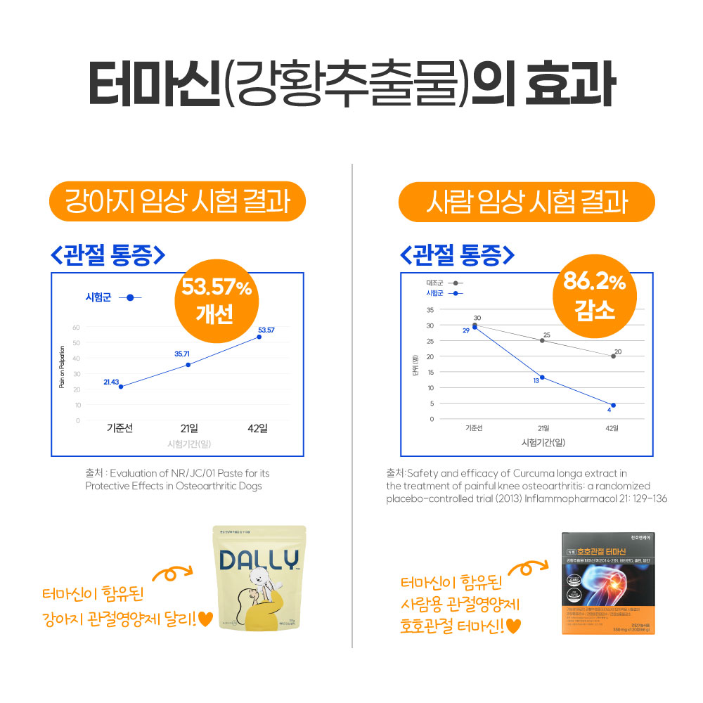 관절영양제 터마신 콘드로이친 호호관절 천호엔케어 120정, 2개 - 상세 이미지 2