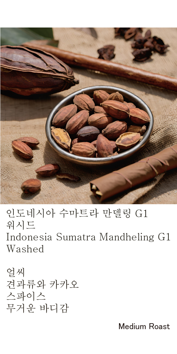 [11월 먼슬리] 인도네시아 수마트라 만델링 G1 길링 바사 (웻 훌) 미디엄 로스트 홀빈, 200g, 1개 - 상세 이미지 2