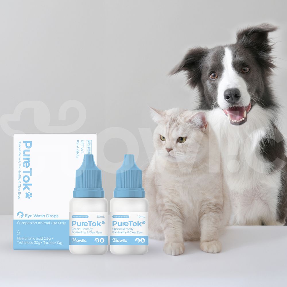퓨어톡 강아지 고양이 인공 눈물 눈세정제 눈꼽 안구건조증 눈병 일회용 20ml, 1개 - 상세 이미지 4
