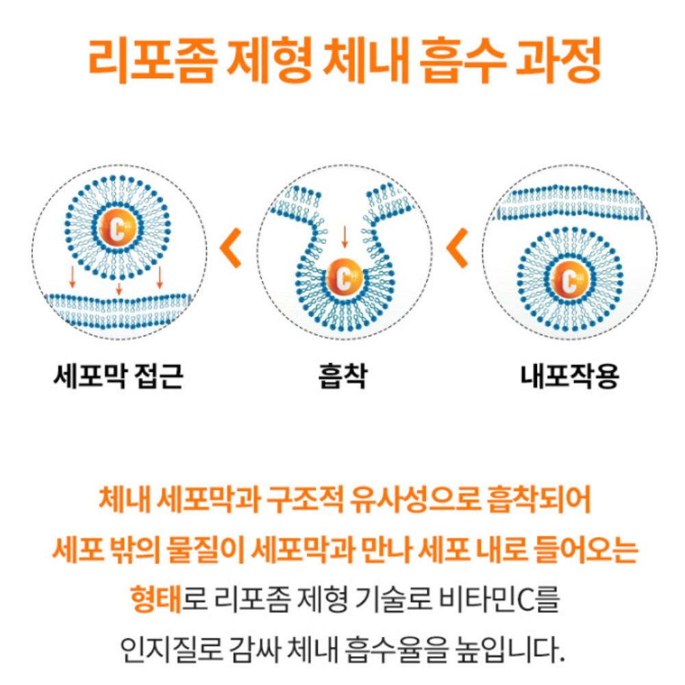 [오스틴제약]리포좀 비타민C 파워 고함량 1000mgx180정 6개월 이미지 6