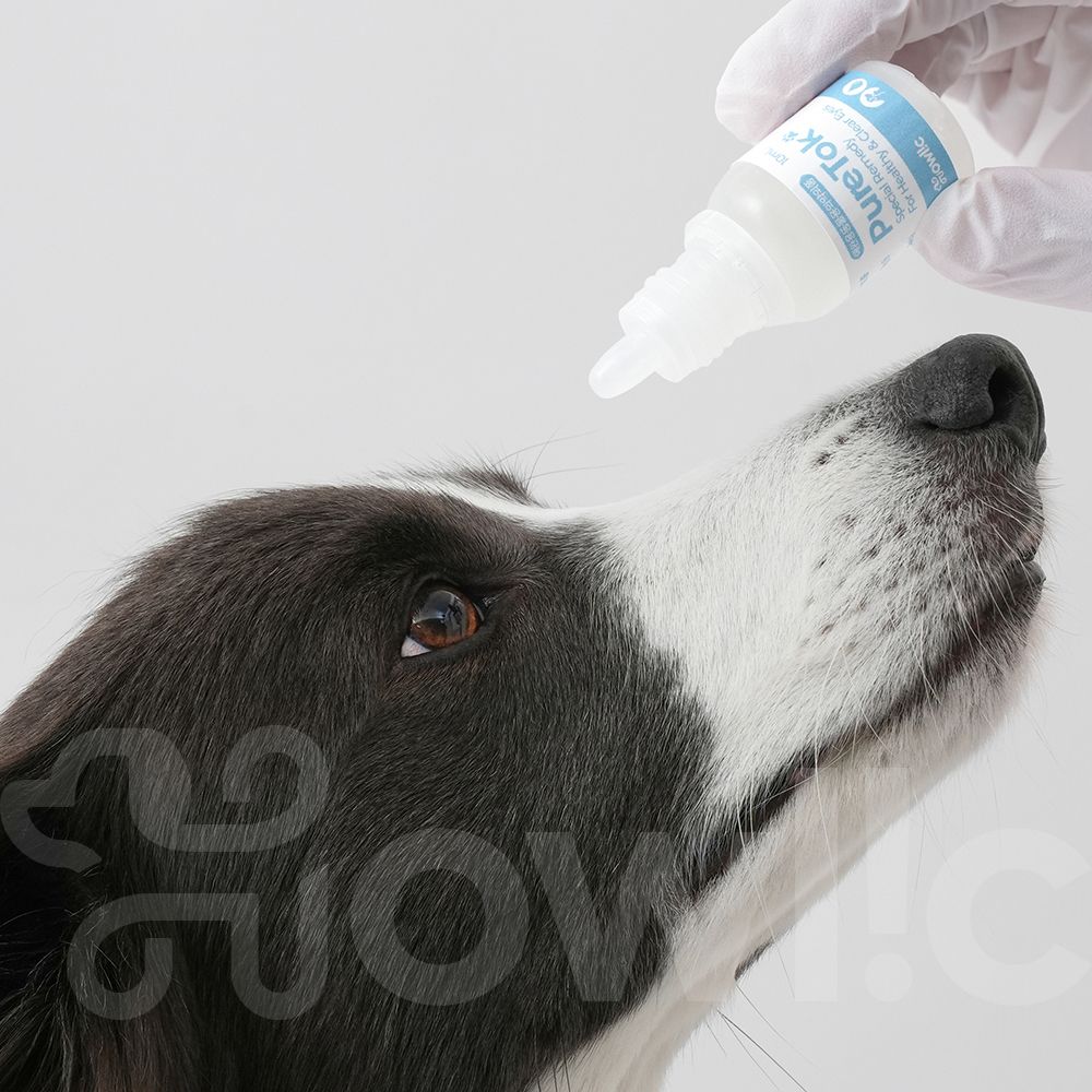 퓨어톡 강아지 고양이 인공 눈물 눈세정제 눈꼽 안구건조증 눈병 일회용 20ml, 1개 - 상세 이미지 2