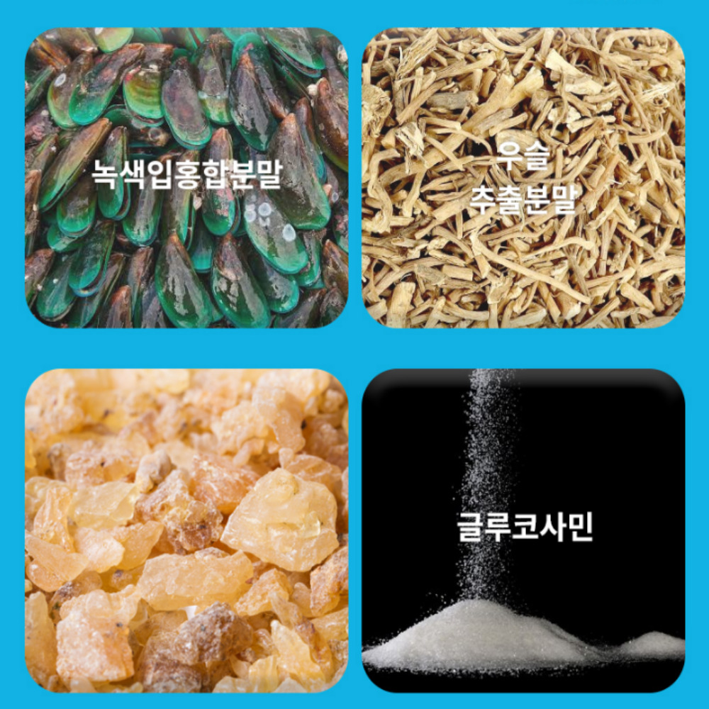 [오스틴제약]리포좀 콘드로이친 파워 상어연골 효능 1000mgx120정 4개월분 - 상세 이미지 4