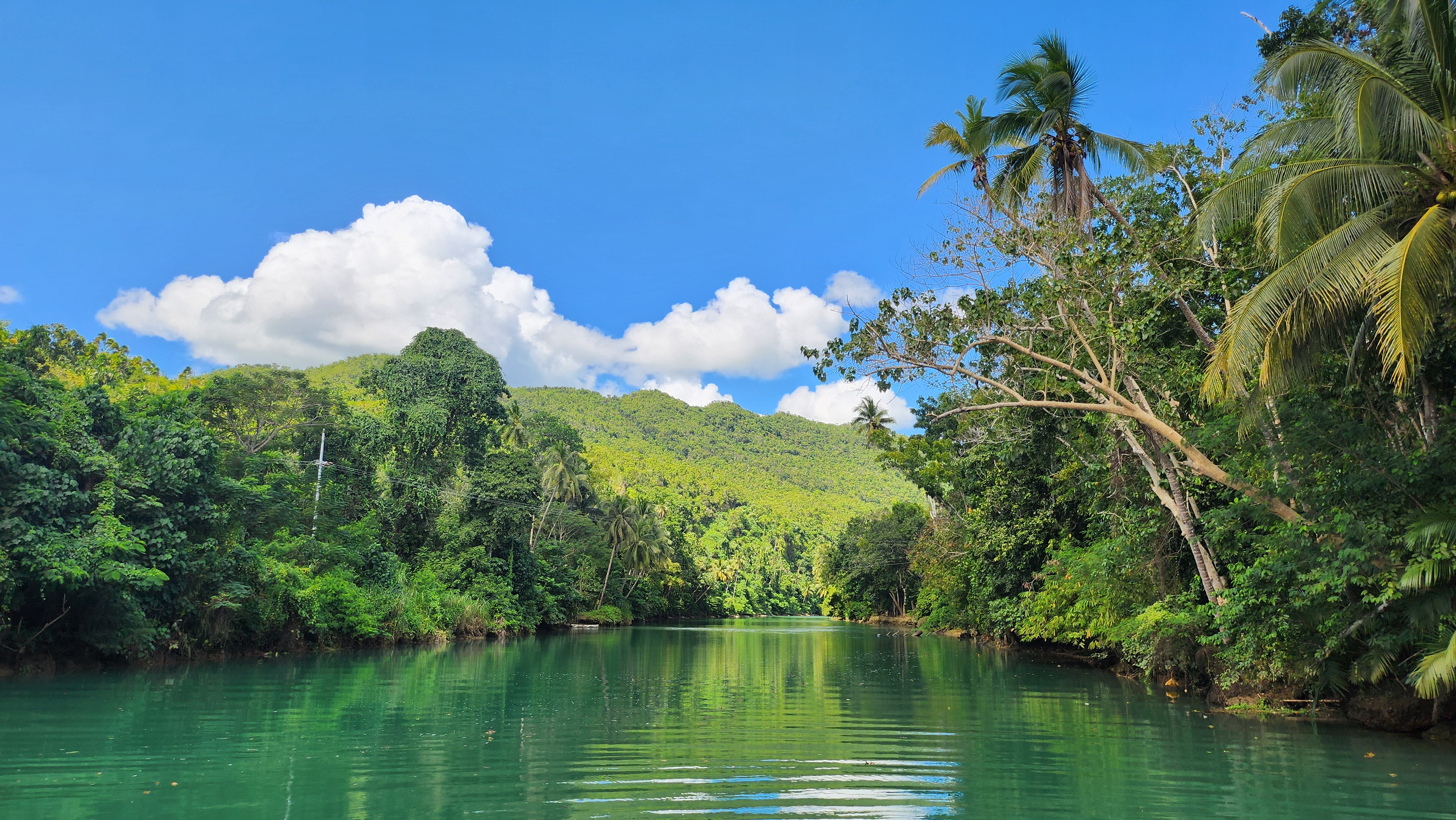 보홀 육상투어 단독차량 초콜릿힐 안경원숭이 로복강