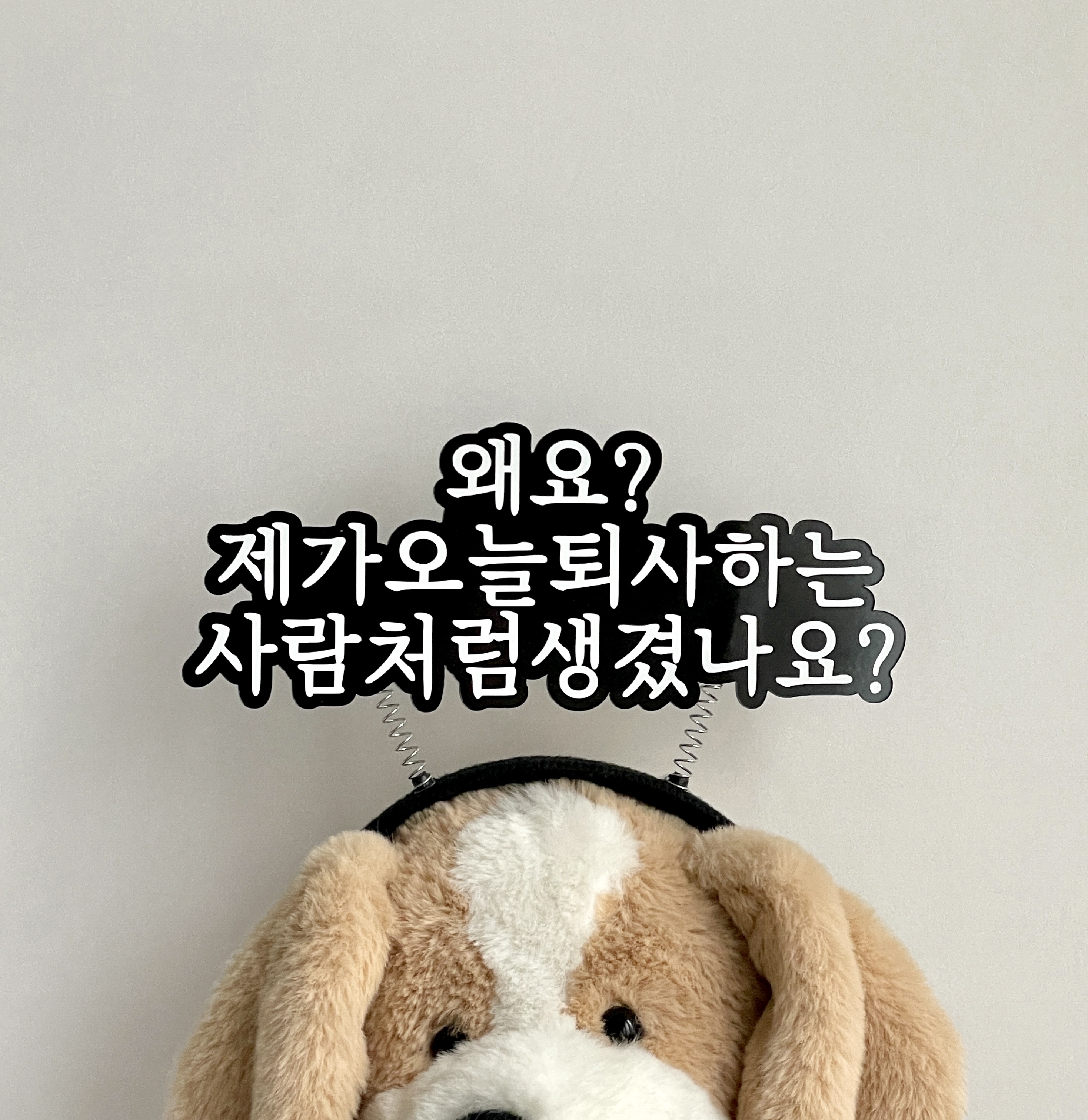 퇴사 머리띠토퍼 퇴직 이직 승진 생일 회사 동료 축하 선물 이벤트 소품 주문제작 - 상품 이미지