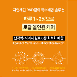 4+2 난각막 가수분해물 엘라스틴 콘드로이친 식약처 HACCP 60정, ... 맛있게 먹은 솔직 후기 - 상품 이미지 2