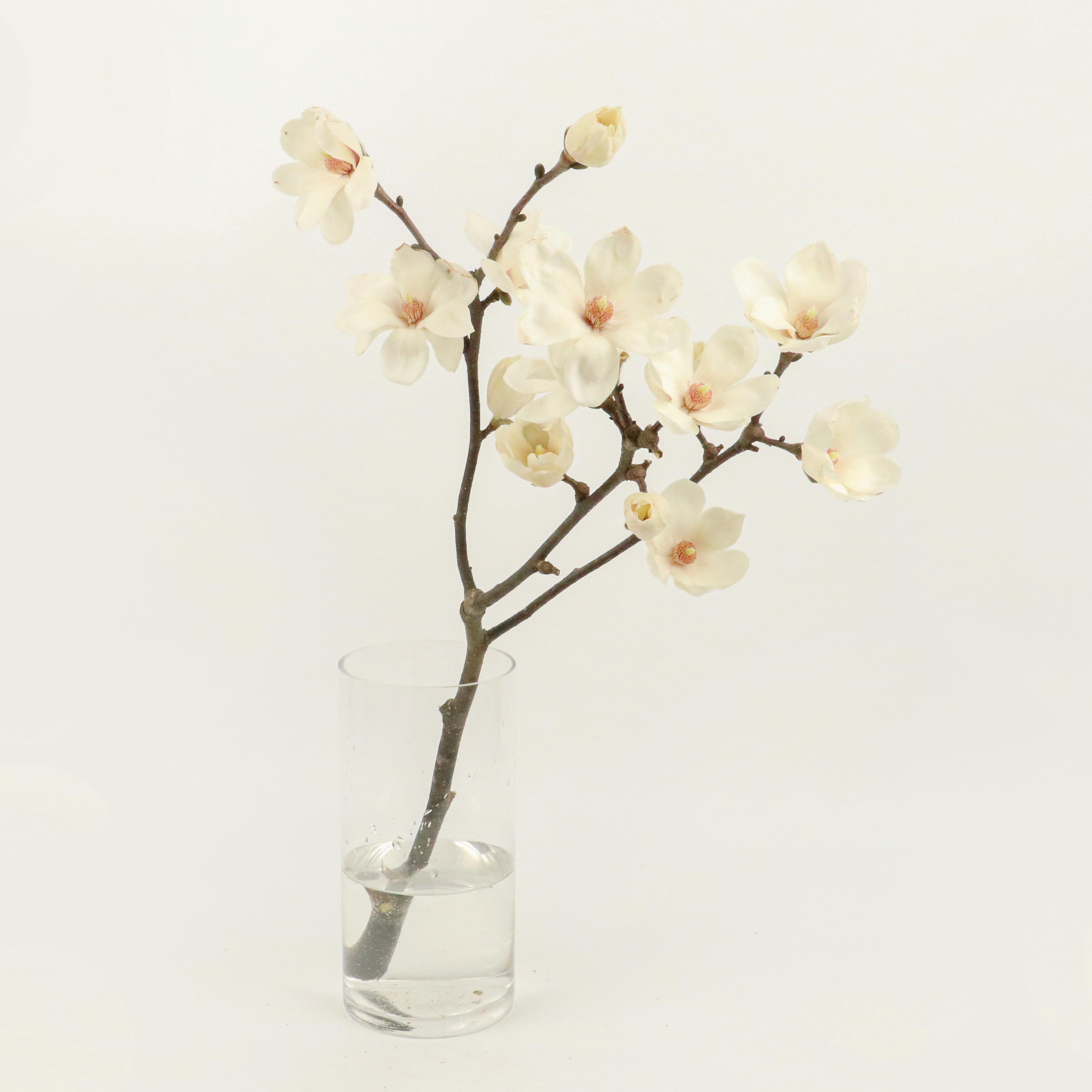 [NEW] 목련(매그놀리아) - 제철 꽃나무  절지 생화택배 꽃배송 다발 생일선물 꽃정기구독 이미지 3