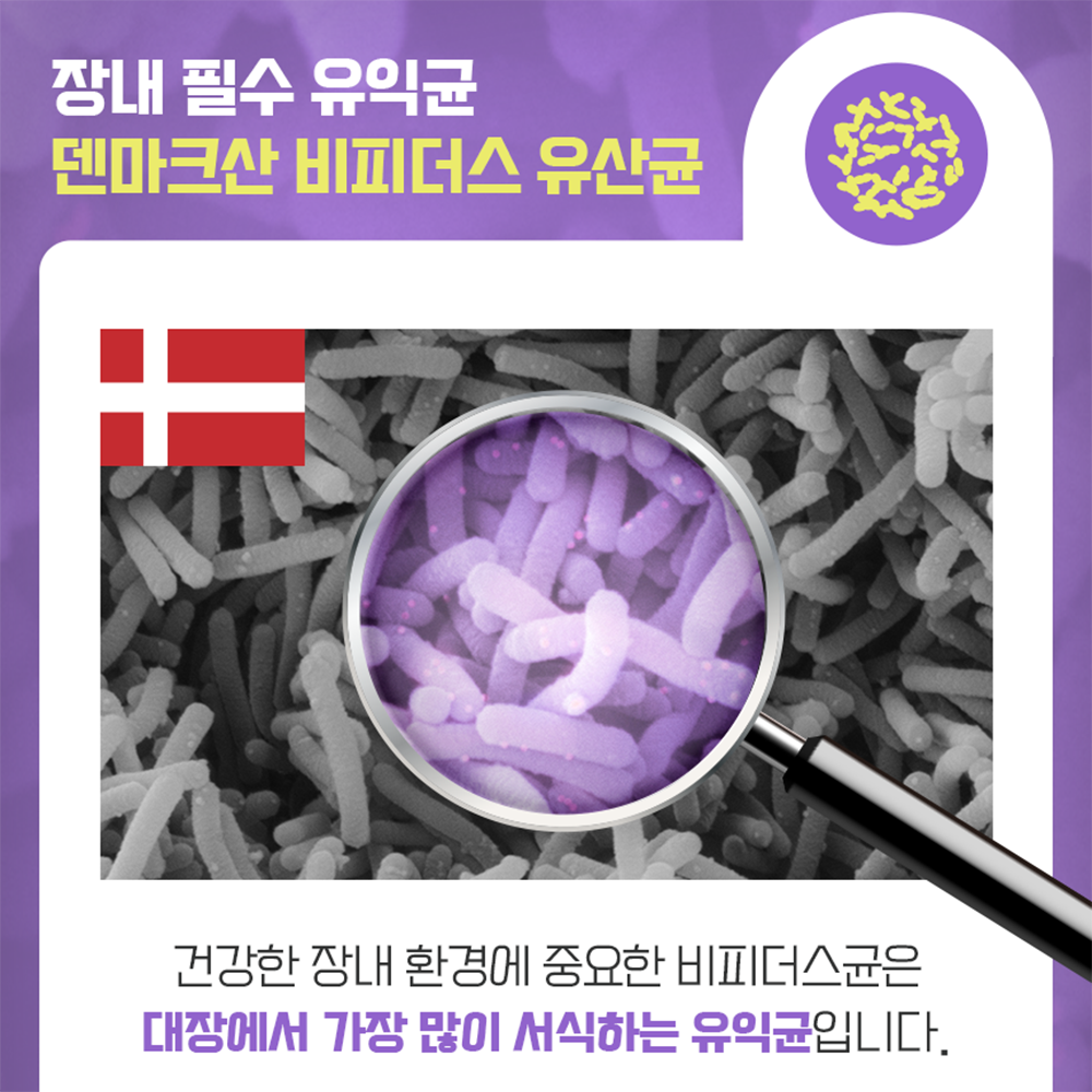초저분자 어린콜라겐 리포좀 저분자 피쉬콜라겐 펩타이드 유산균 가루 스틱 - 상세 이미지 3