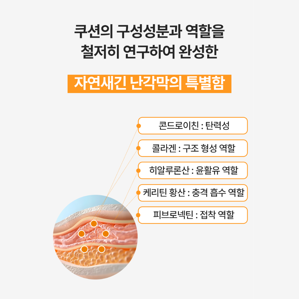 난각막 가수분해물 엘라스틴 60정 2개월분 6통 이미지 7