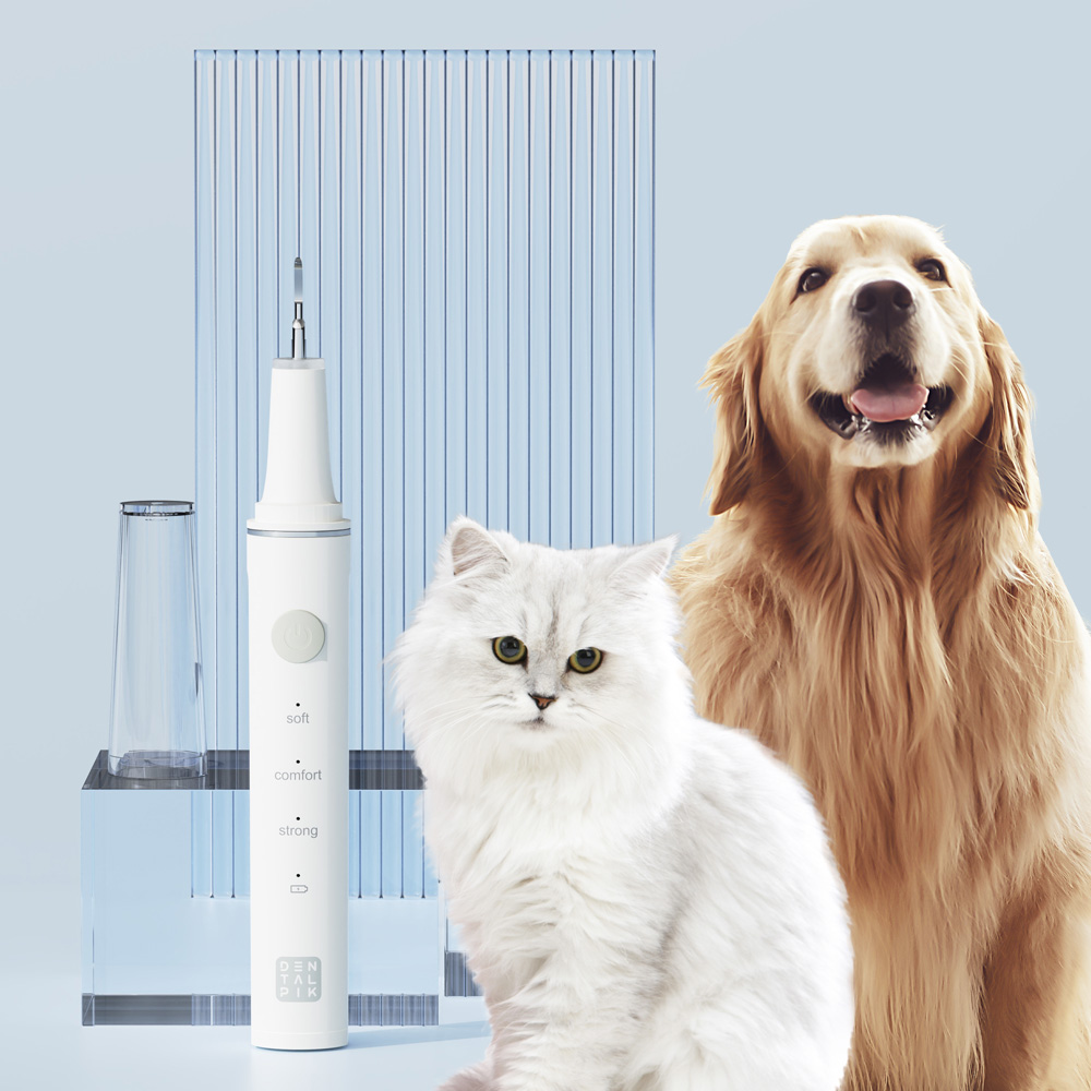 이게묘개 강아지 초음파 치석제거기 애견 치아 관리 셀프 스케일링 칫솔 양치 반려 고양이 스케일러