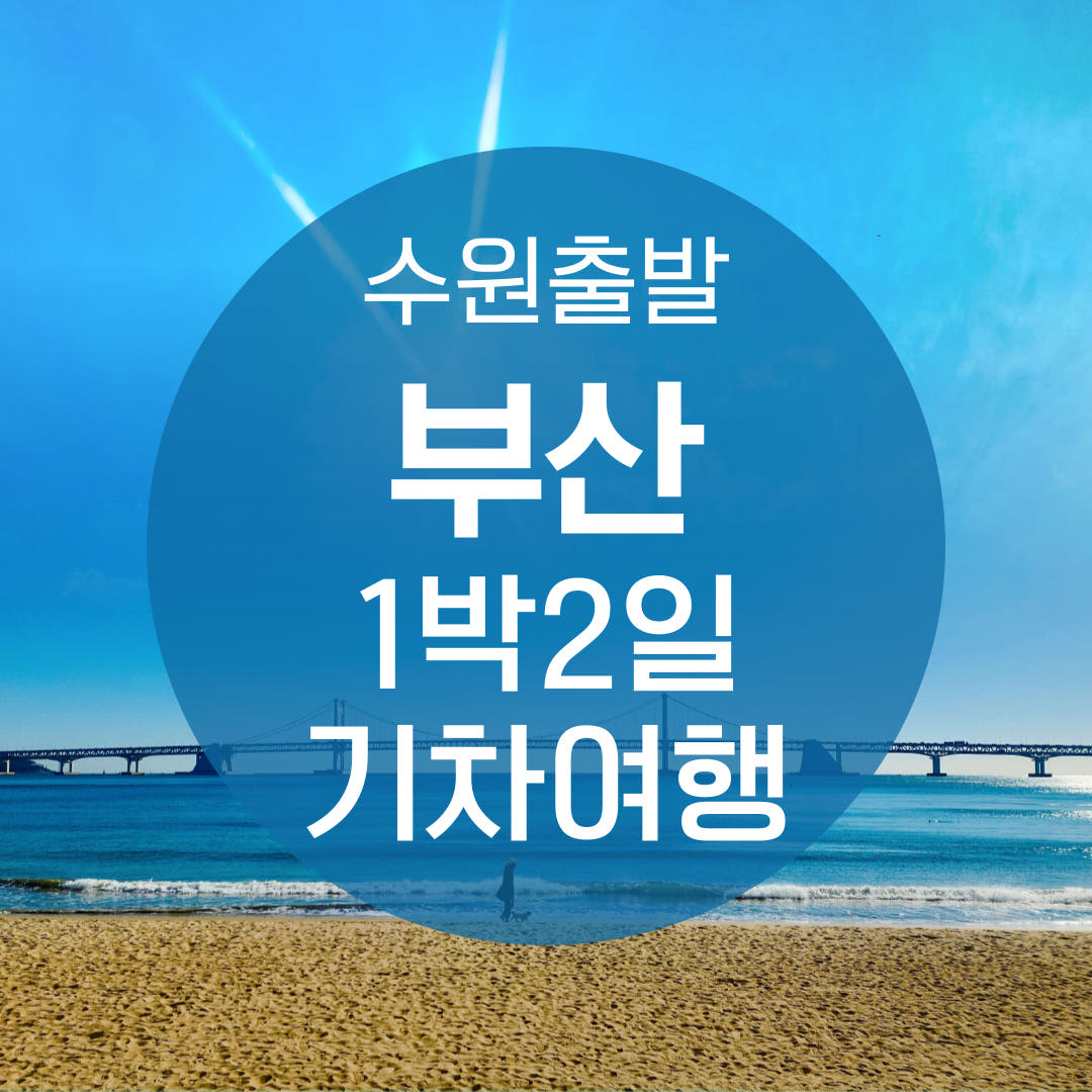 KTX 수원출발 부산 1박 2일 기차여행 용궁사 태종대 해변열차 버스투어 가격 비교 청송관광여행사 KTX 수원출발 부산 1박 2일 기차여행 용궁사 태종대 해변열차 버스투어