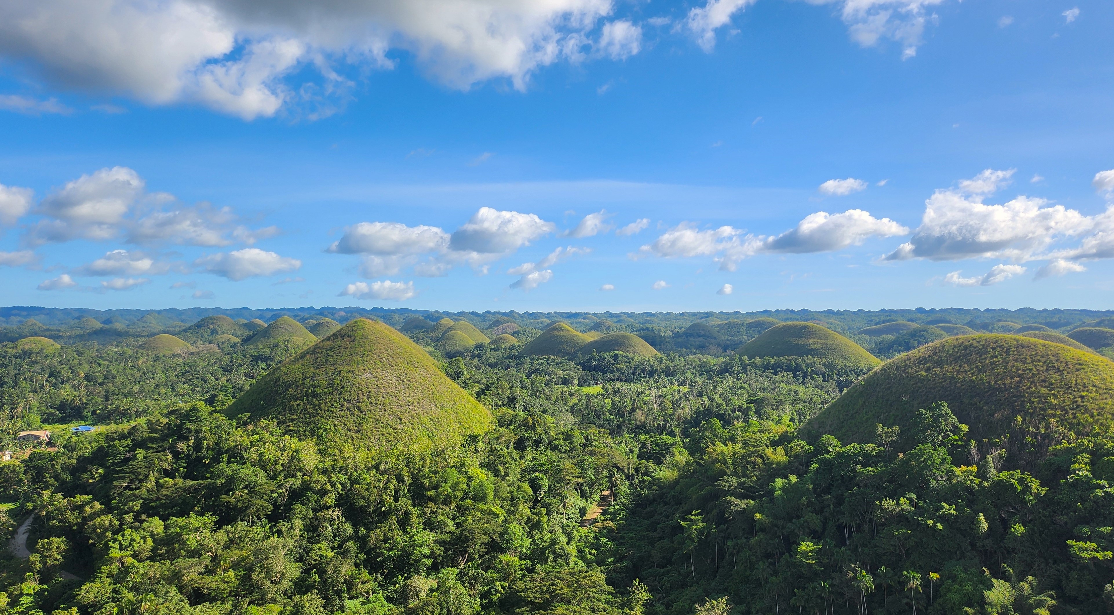 보홀 육상투어 단독차량 초콜릿힐 안경원숭이 로복강