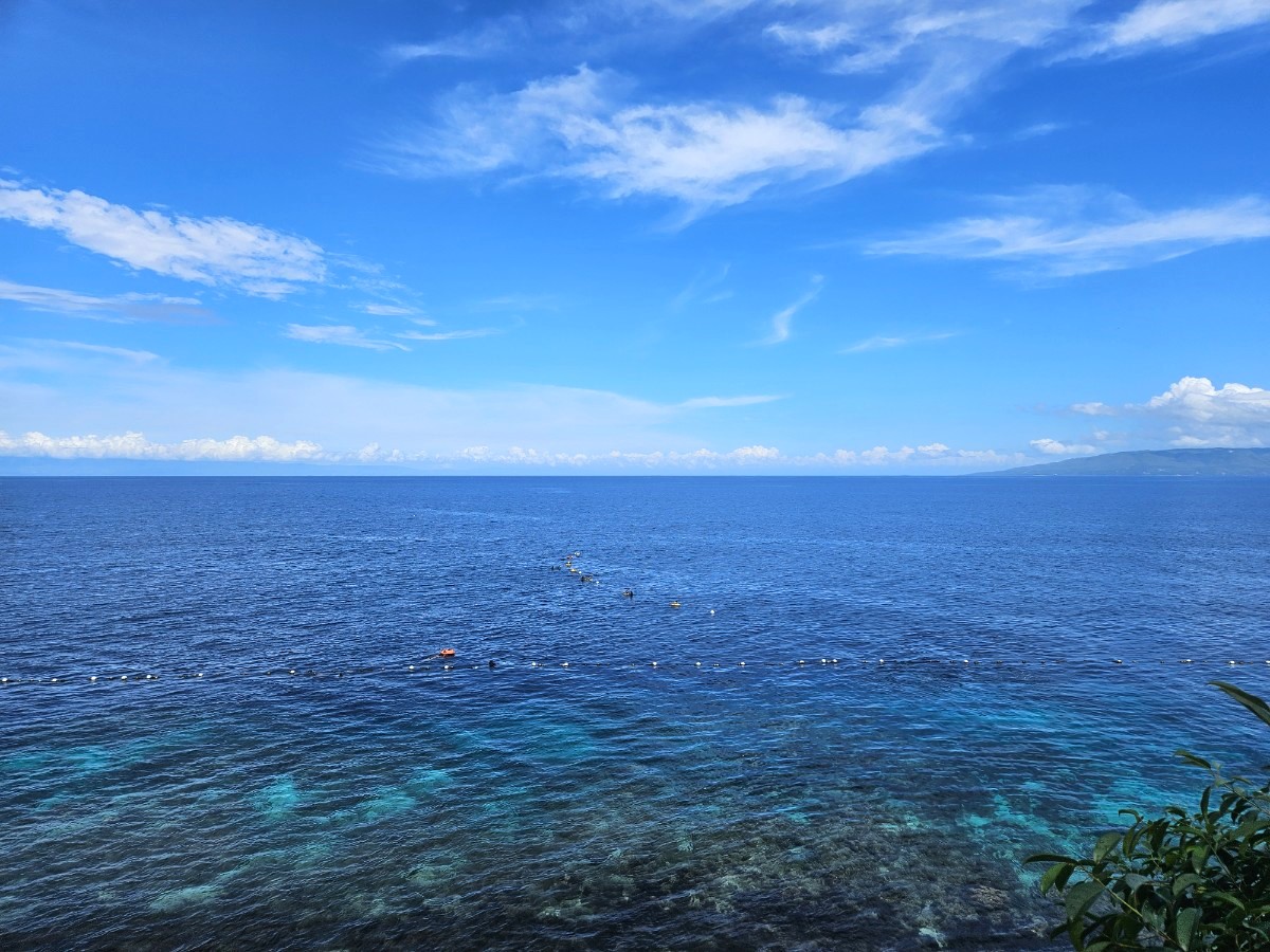 보홀 나팔링 투어 스노클링 정어리떼 체험 프리다이빙 자유여행 패키
