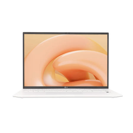 [Fn] LG정품 그램17 17ZD90RU-GX54K+NVMe256G추가