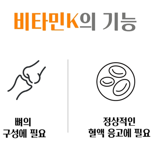 웰러스 발효 비타민K2 MK7 메나퀴논 D3 60캡슐 2박스 4개월 뼈 혈액 혈관 건강 - 상세 이미지 5