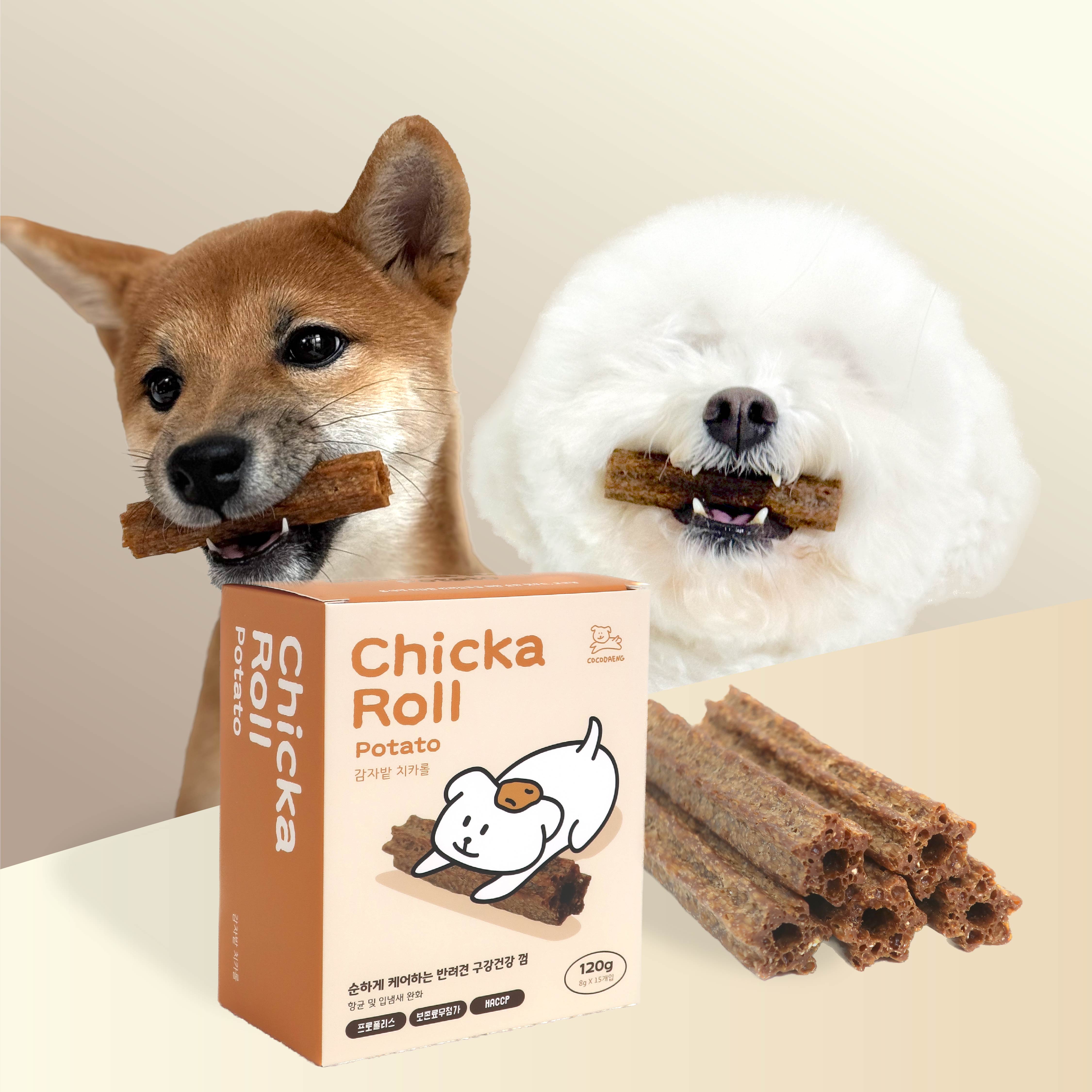 치카롤 코코댕 덴탈껌 , 15입/BOX 감자, 120g, 1개 - 메인 이미지