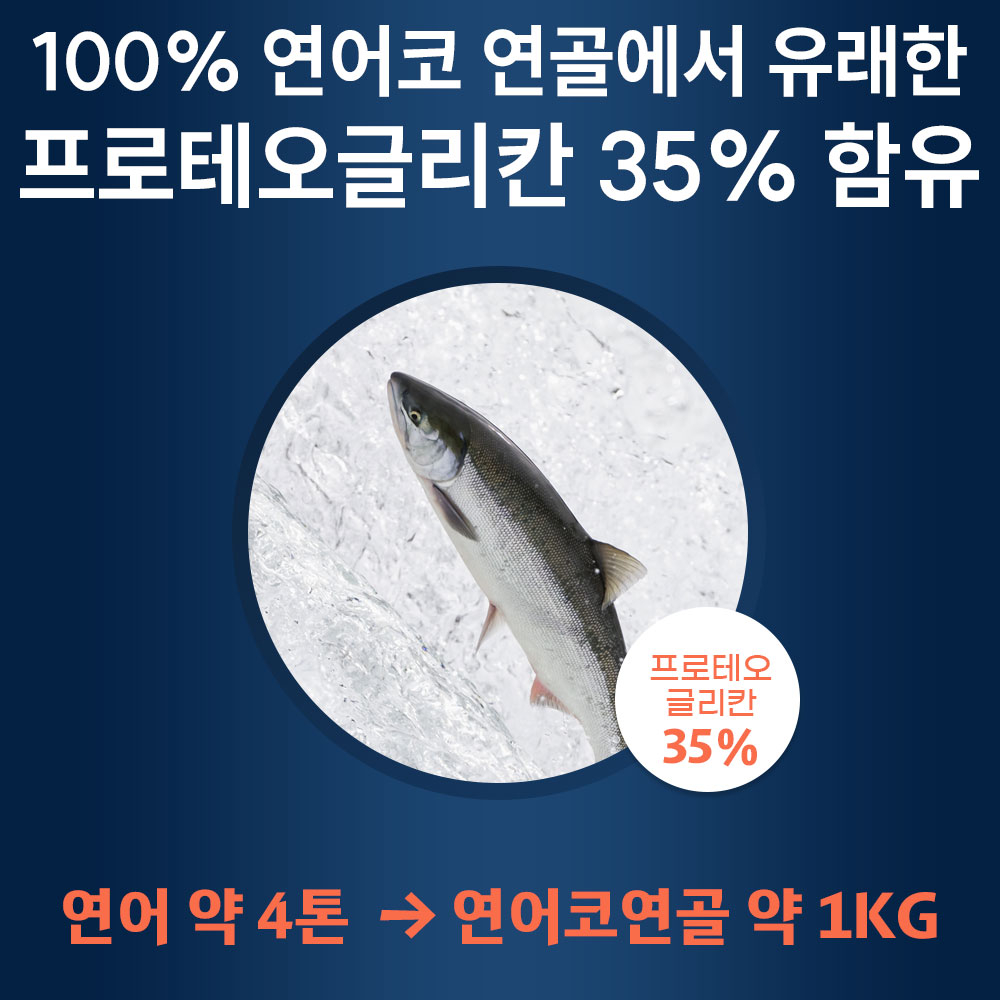 [봄격할인전] 헬씨허그 프로테오글리칸 콘드로이친 임팩트 필름 연어코연골 추출물, 12개 이미지 4