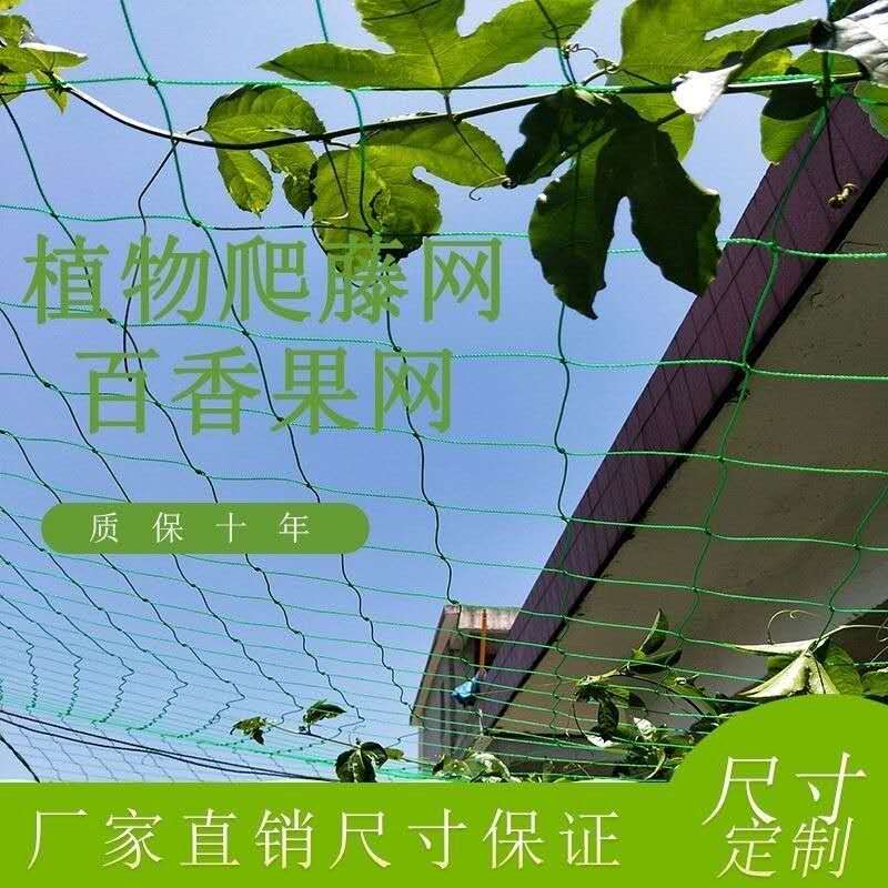 고추망 덩굴망 그물망 지지대 그물 텃밭 농사 오이망 - 상세 이미지 3